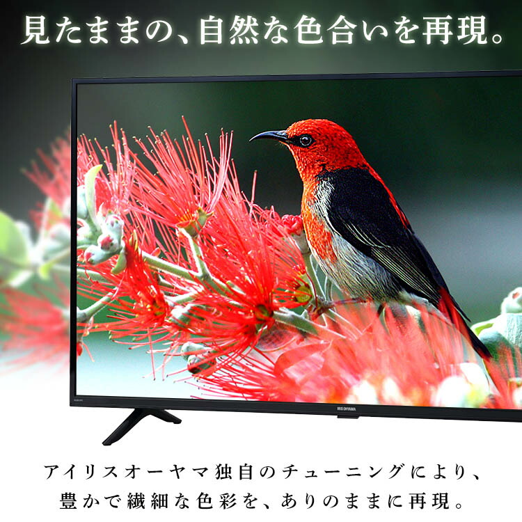 楽天市場】[500円OFFクーポン/新生活フェア] テレビ 40型 40インチ