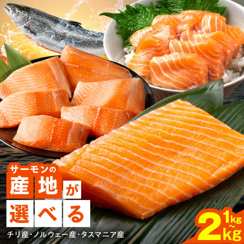 楽天市場】【ふるさと納税】【発送月が選べる】 高評価☆4.64 サーモン