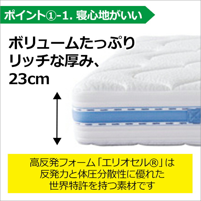 楽天市場】腰も背中もらく マニフレックス オクラホマ 高反発 ベッド