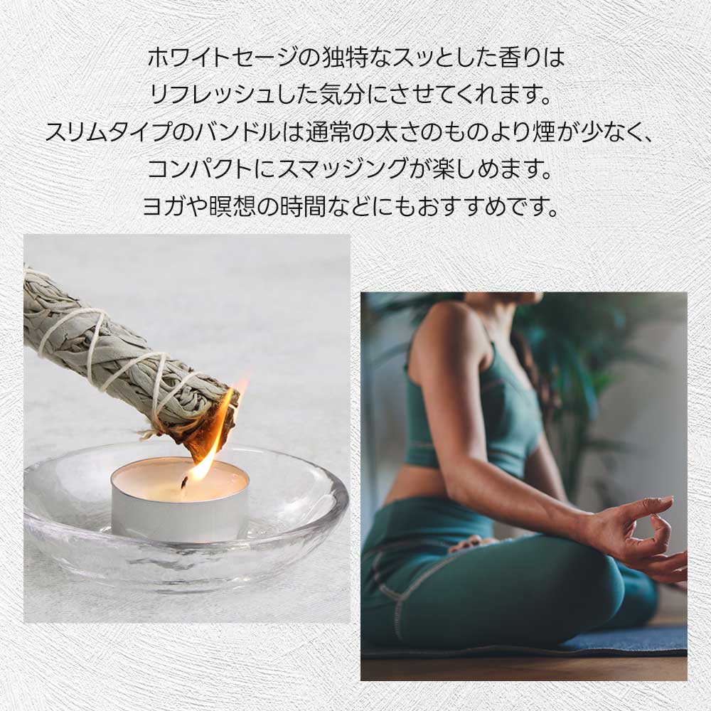 楽天市場】【楽天スーパーSALE☆3本 5本が10％OFF】ホワイトセージ