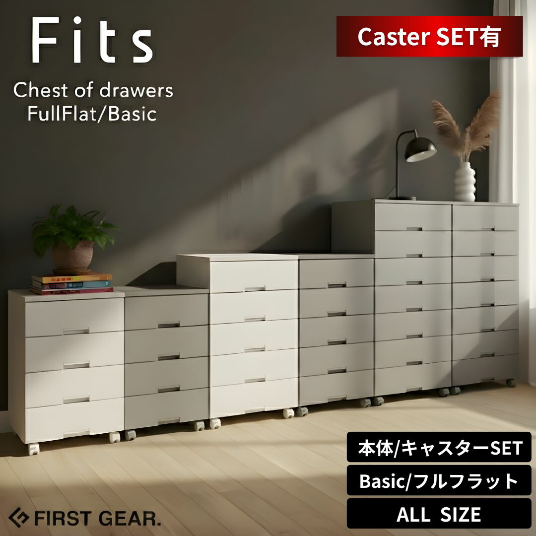 楽天市場】＼レビュー特典有／ フィッツチェスト フィッツプラス 55cm