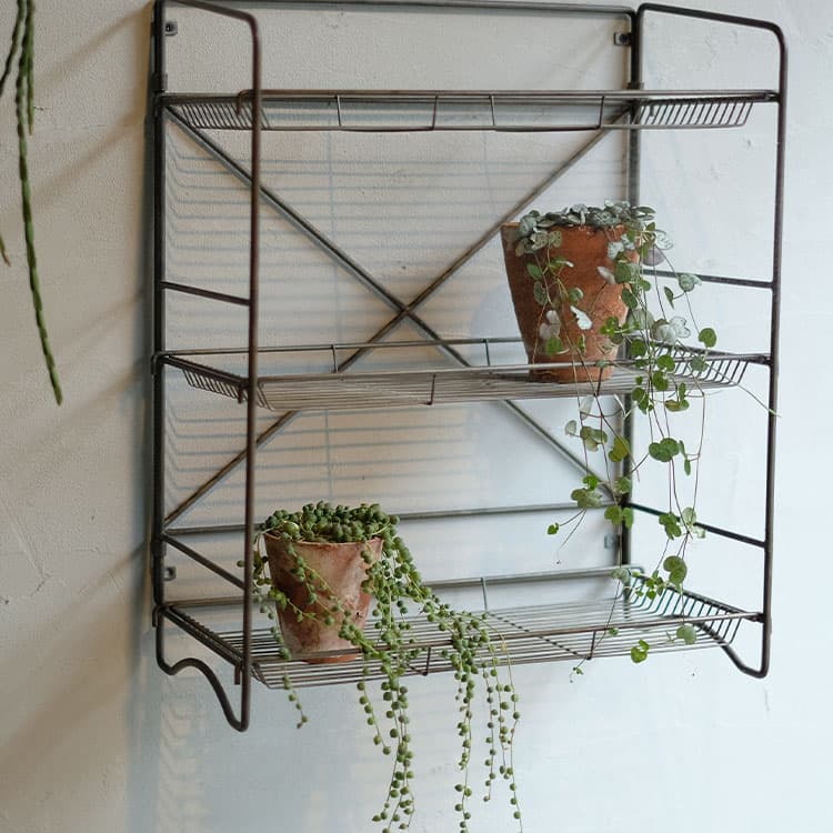 楽天市場】HABANA FOLDING SHELF ハバナフォールディングシェルフ 3段