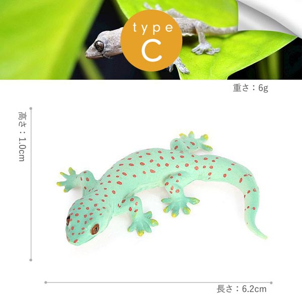 楽天市場】【楽天SS対象商品10％OFF】 お得なクーポン配布中 送料無料