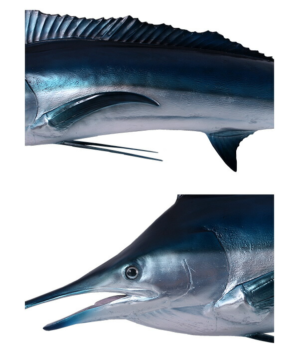 楽天市場】FRPアニマルオブジェ ブルーマーリン【即納可】置物 動物 魚