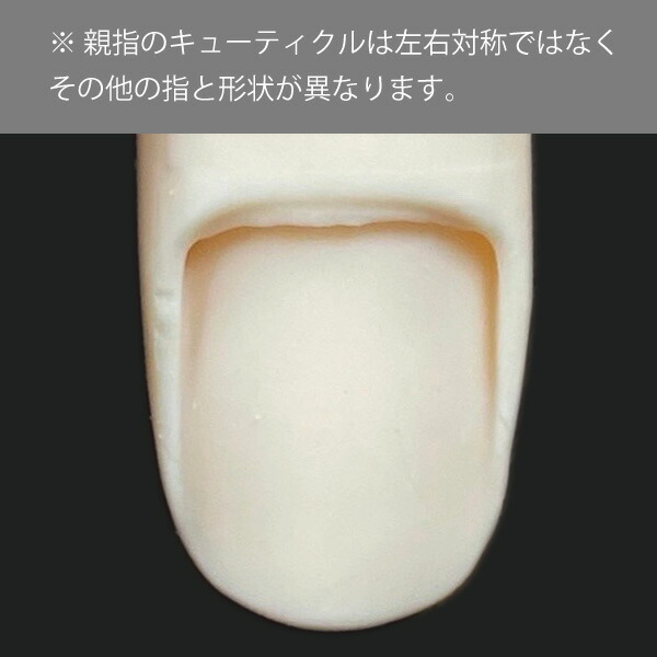 楽天市場】JNEC認定 STモデルハンド 左手 チップ差込式(ネイルチップ