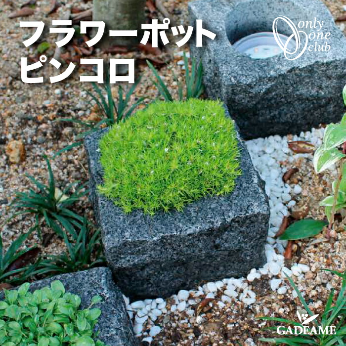 楽天市場】オーナメント フラワーポット ピンコロ オブジェ 御影石