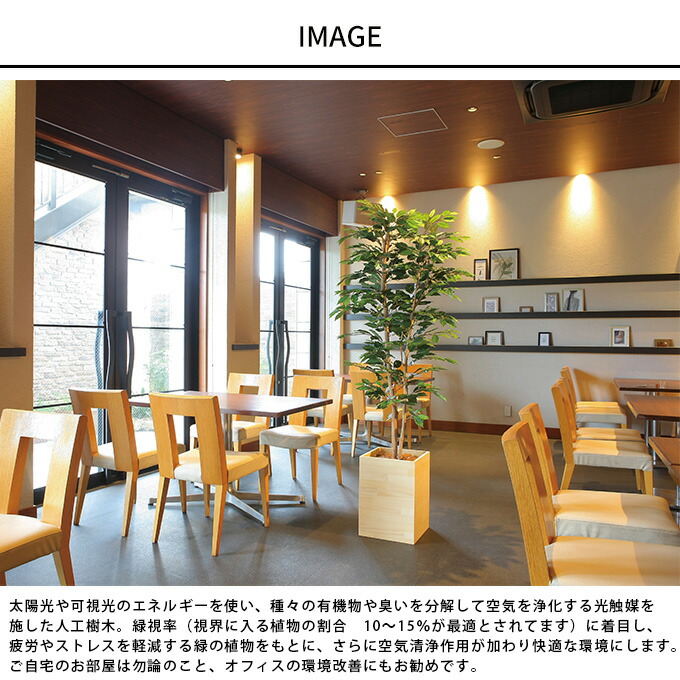 楽天市場】フェイクグリーン 鉢植え 大型 ウッドボックス ベンジャミン