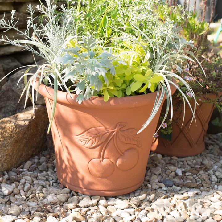 楽天市場】Whichford ウィッチフォード 植木鉢 チェリー プランター