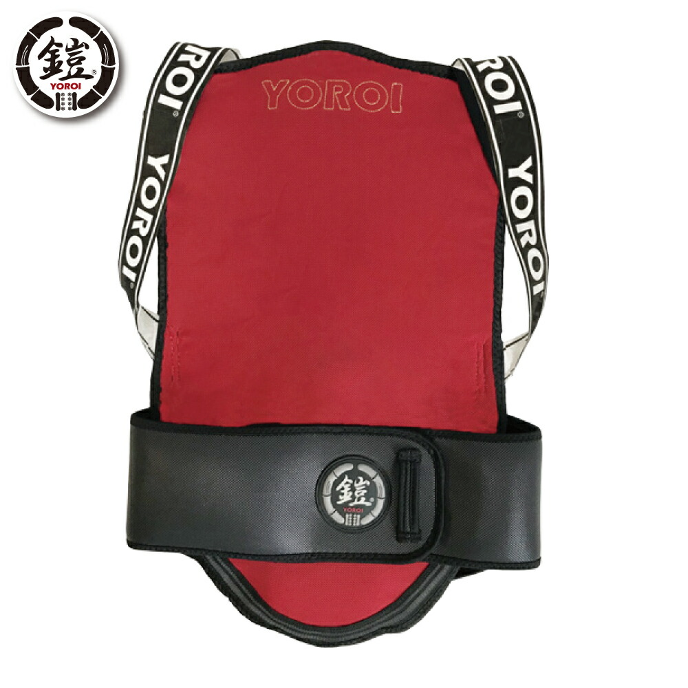 楽天市場】スノーボード スキー 上半身用 ジュニア バックプロテクター