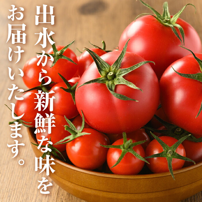 楽天市場】【ふるさと納税】＜定期便・計3回(連続)＞極トマト おまかせ
