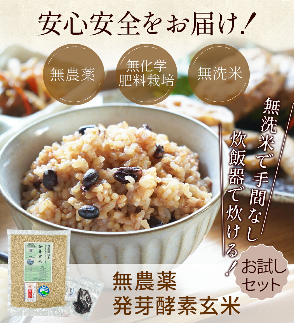 発芽玄米 酵素玄米炊飯器」の人気商品一覧 | 安い商品を通販サイトから