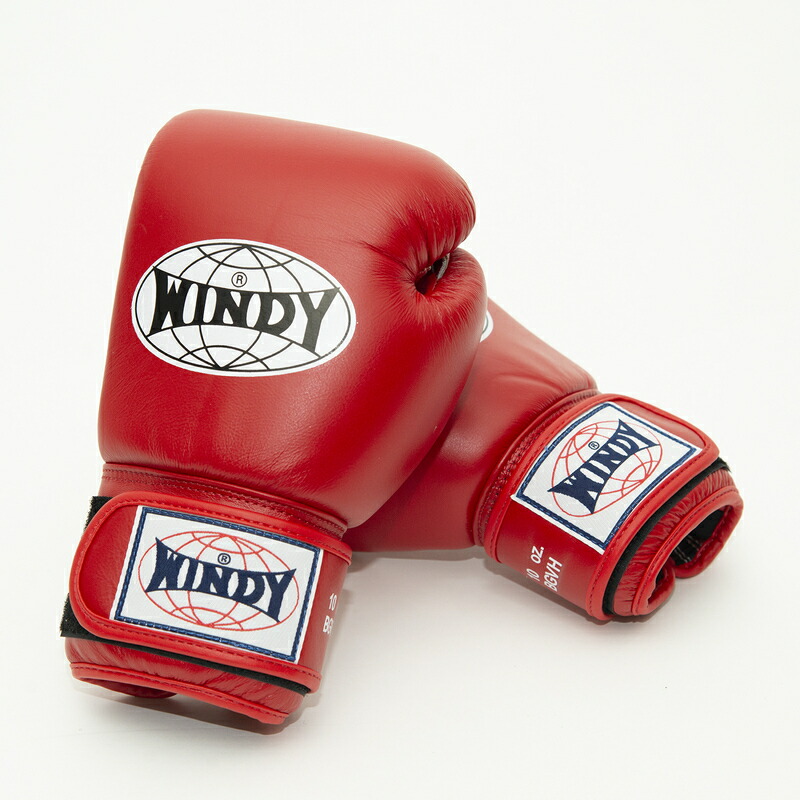 楽天市場】【日本総代理店】ランキング1位獲得 WINDY(ウィンディ) BGVH