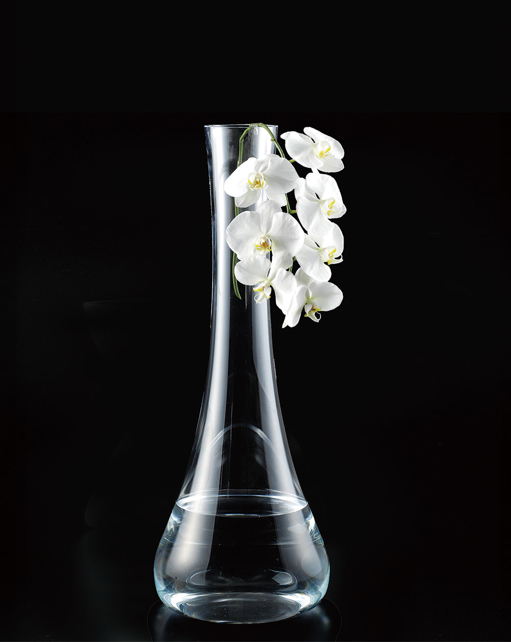 楽天市場】クリスタルガラス ガラス花瓶 大型 おしゃれ 人気 フラワー