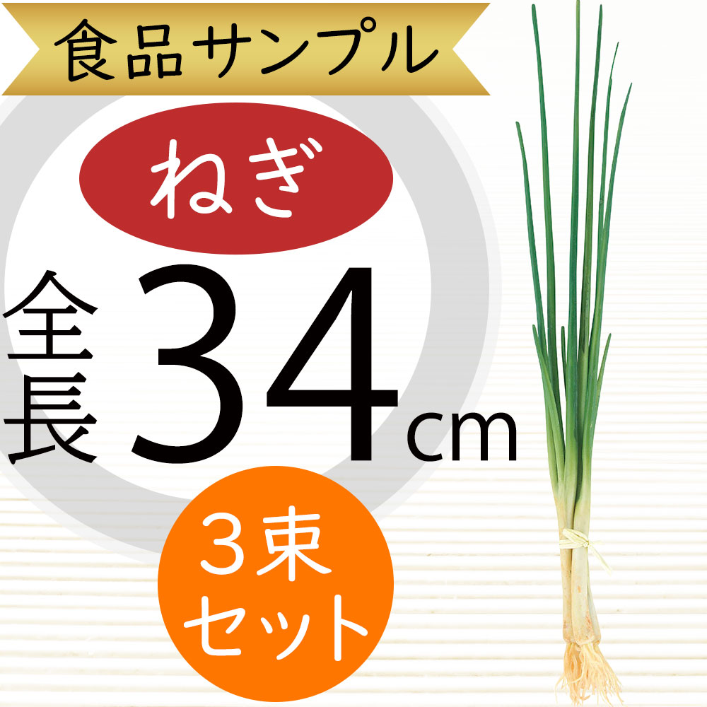 楽天市場】食品サンプル 万能ねぎ リアル ネギ 小ねぎ ねぎ 葱 リアル