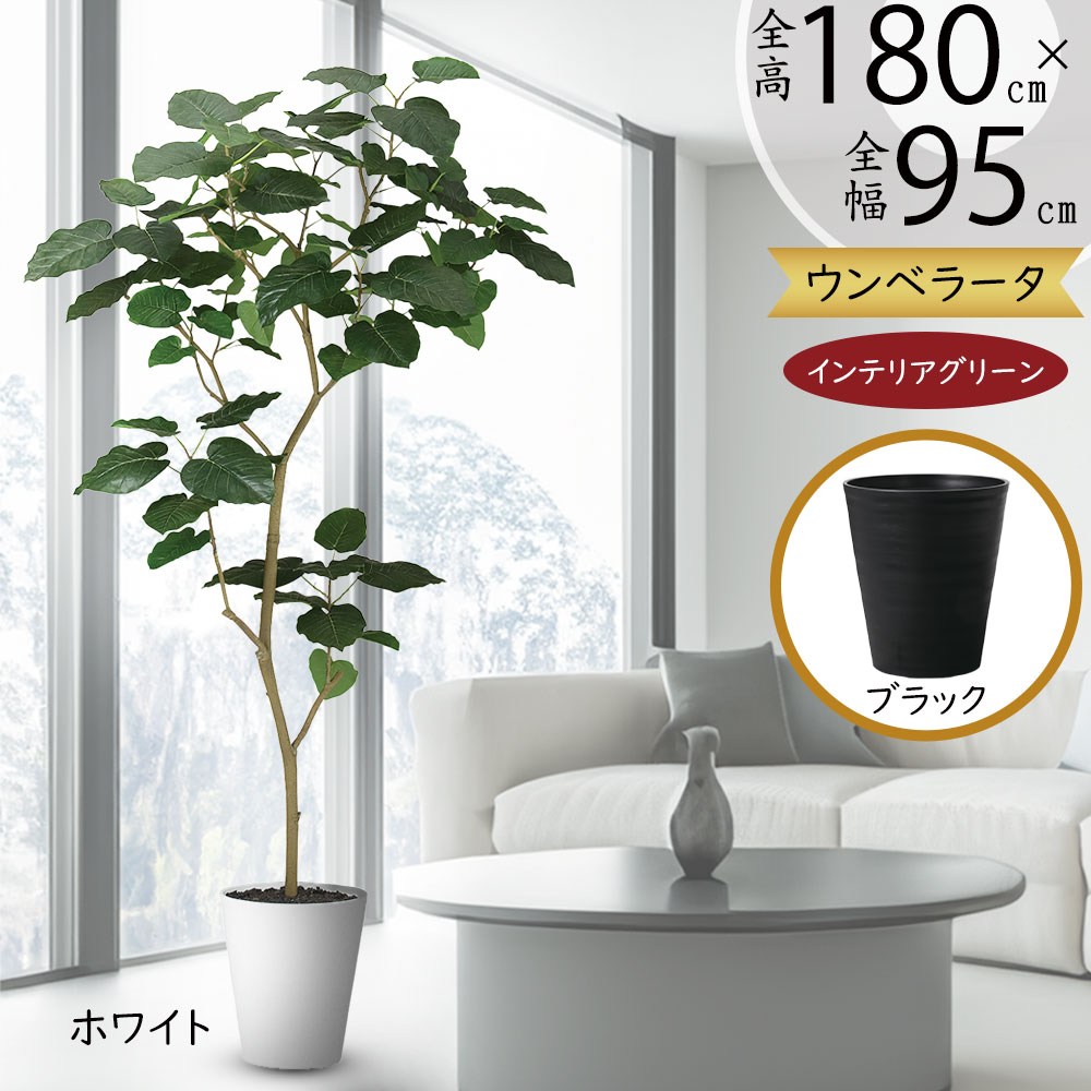 ウンベラータ 観葉植物 インテリア」の人気商品一覧 | 安い商品を通販