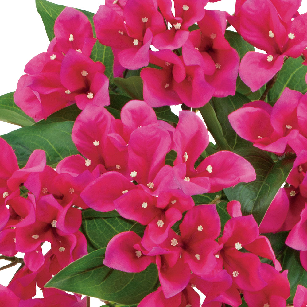 楽天市場】ブーゲンビレア ブーゲンビリア 屋外用 UV加工 造花