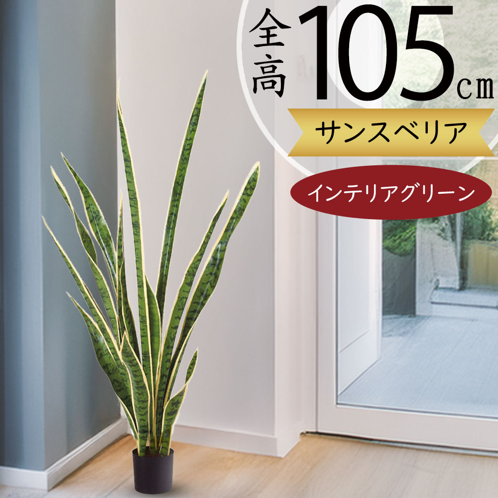 楽天市場】サンセベリア サンスベリア フェイクグリーン 多肉植物