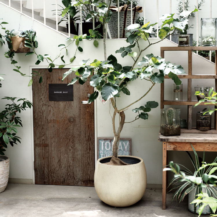 楽天市場】植木鉢 軽くて丈夫なFRP鉢カバー GP007-420 14号(42cm) 鉢底