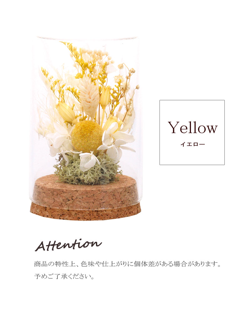 楽天市場】PD コルクグラス フラワーホワイトアレンジ M IF-148ドライ