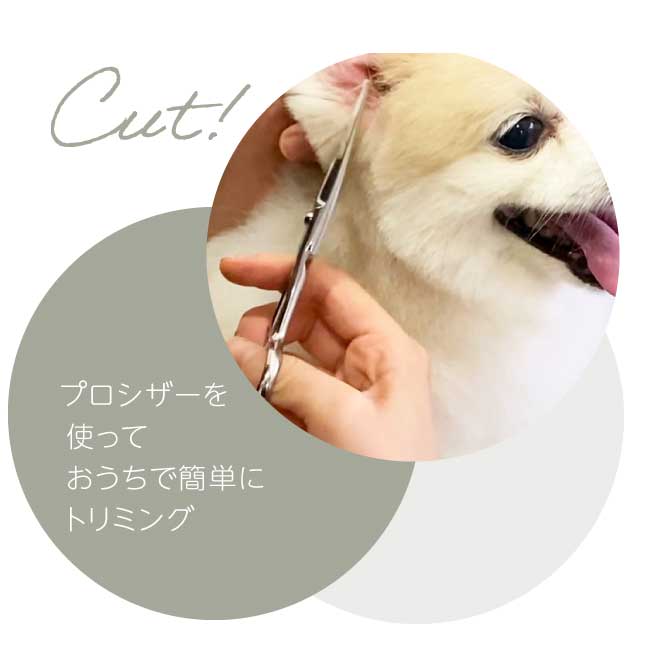 楽天市場】【ペットトリミング用 ミニシザー】【送料無料】px-mini