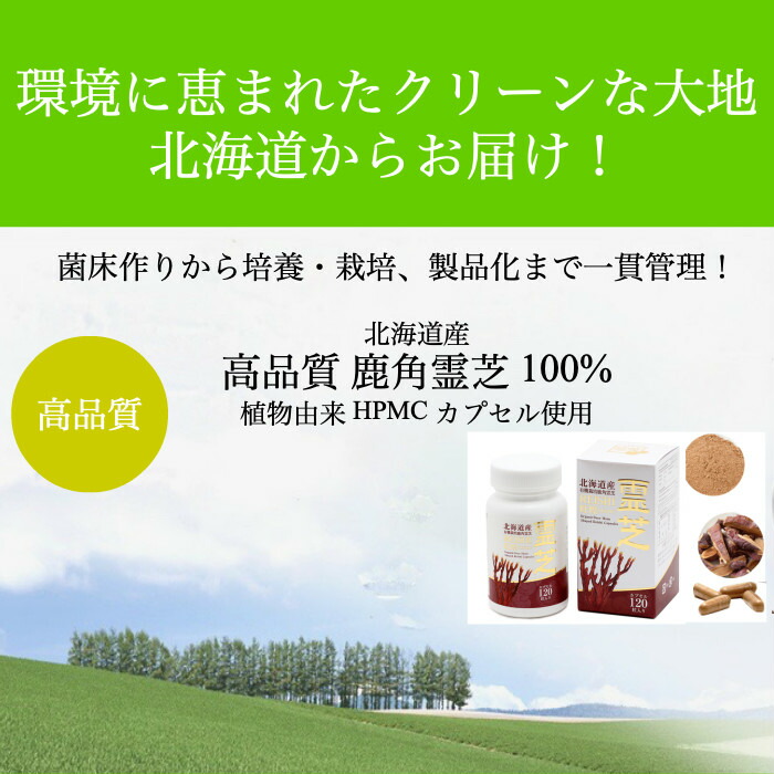 楽天市場】【クーポン配布中】霊芝サプリ 鹿角霊芝カプセル120粒 ×2個