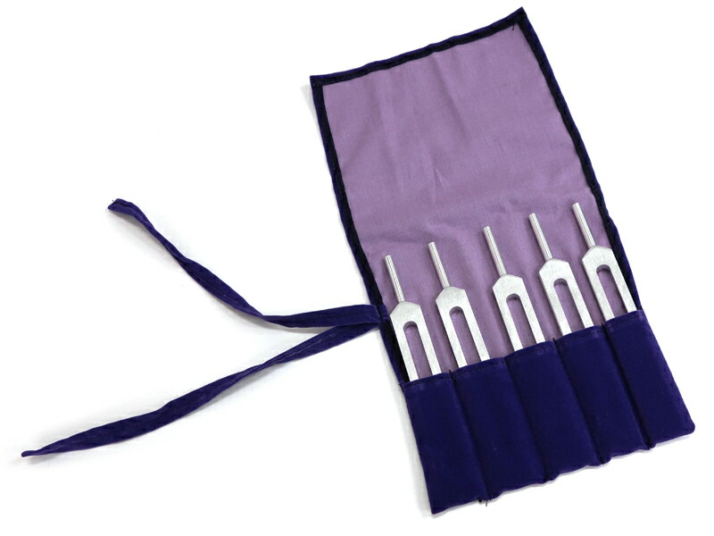 楽天市場】チューナー 音又 脳波をチューニングする ブレイン