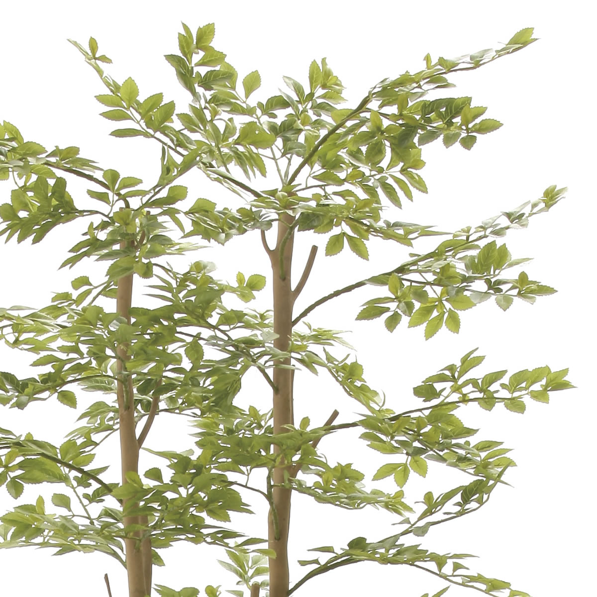 楽天市場】光触媒 光の楽園 ゴールデンリーフ 1.8m インテリア