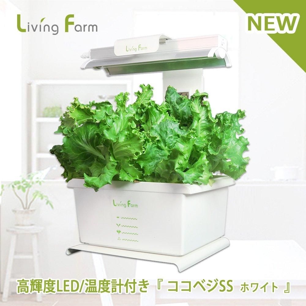 楽天市場】【送料無料】リビングファーム特許 水耕栽培キット 高輝度