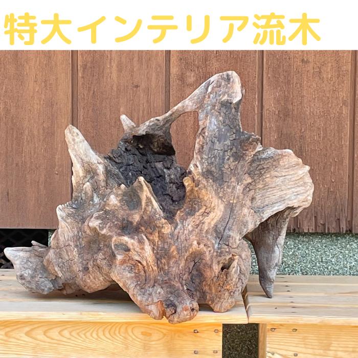 楽天市場】特大 インテリア 流木 9 玄関飾り 店舗飾り 看板 オブジェ