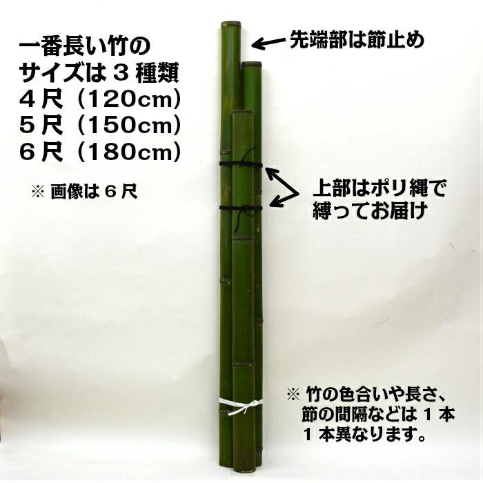 楽天市場】門松用の竹 真竹 5尺(150cm) 寸胴・節止め 2組セット(3本×2