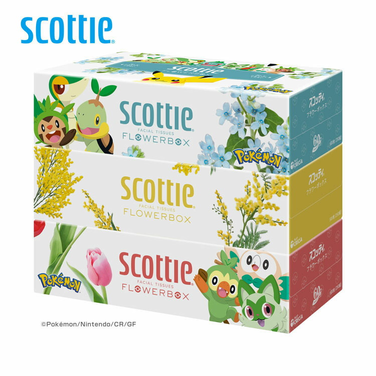 楽天市場】【数量限定品】ボックスティッシュ 箱ティッシュ ポケモン