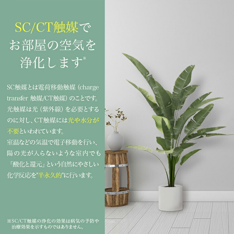 楽天市場】フェイクグリーン 観葉植物 パキラ 大型 スリム 光触媒 CT