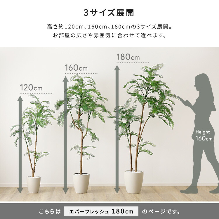 楽天市場】エバーフレッシュ フェイクグリーン 高さ180cm 観葉植物