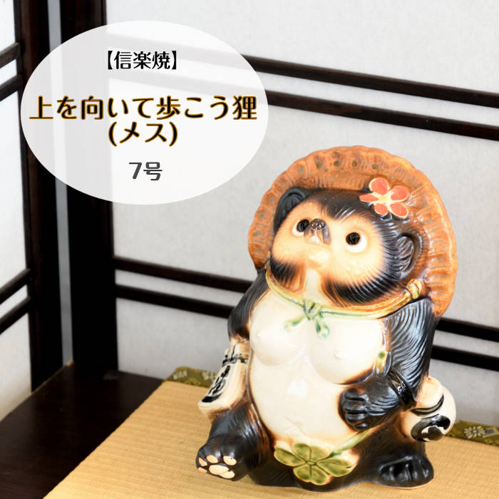 楽天市場】信楽焼 陶器 たぬき 上を向いて歩こう狸 メス 7号 散歩