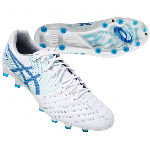 楽天市場】【3/4 20時からポイント10倍】DSライト X-FLY PRO 2