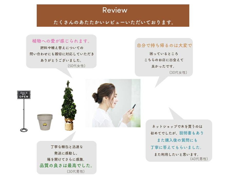 楽天市場】ユッカ トンプソニアーナ 常緑 観葉植物 丈夫 耐寒性 ドライ