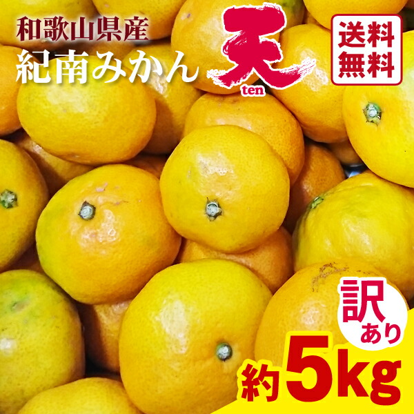 楽天市場】【送料無料】わけあり「天」みかん（サイズ混合） 5kg