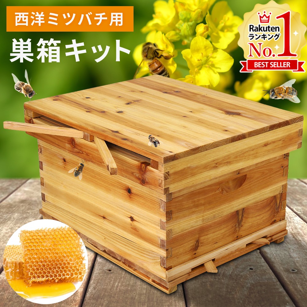 楽天市場】【5%OFFクーポン配布3/9 20時〜 利用条件あり】 巣箱