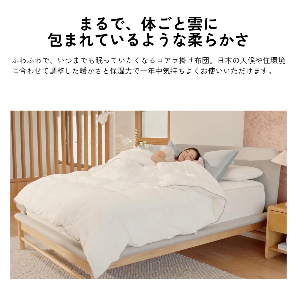 楽天市場】【4日20:00から11日1:59まで10%OFFクーポン】掛け布団