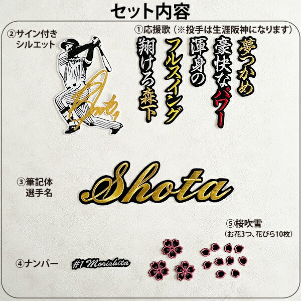 楽天市場】納期注意【阪神タイガース 刺繍ワッペン 5点セット 筆記体