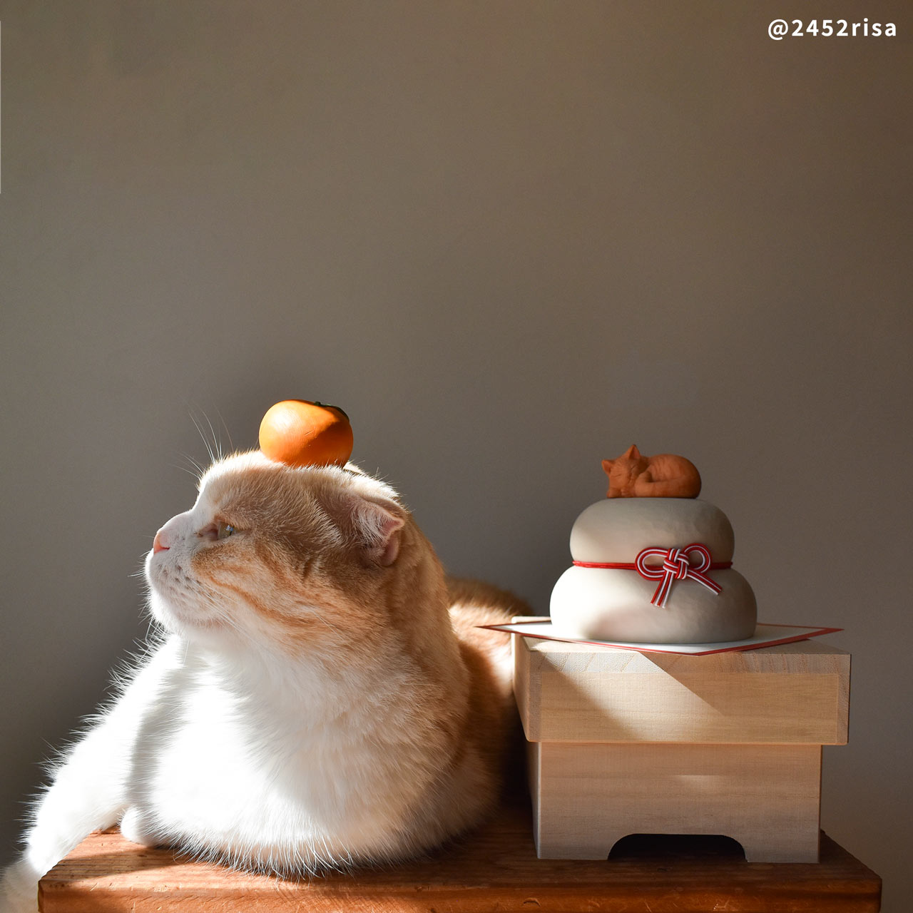 楽天市場】ねこくら 木彫りの鏡餅 猫ののった鏡餅 2026年 木製 ヒノキ