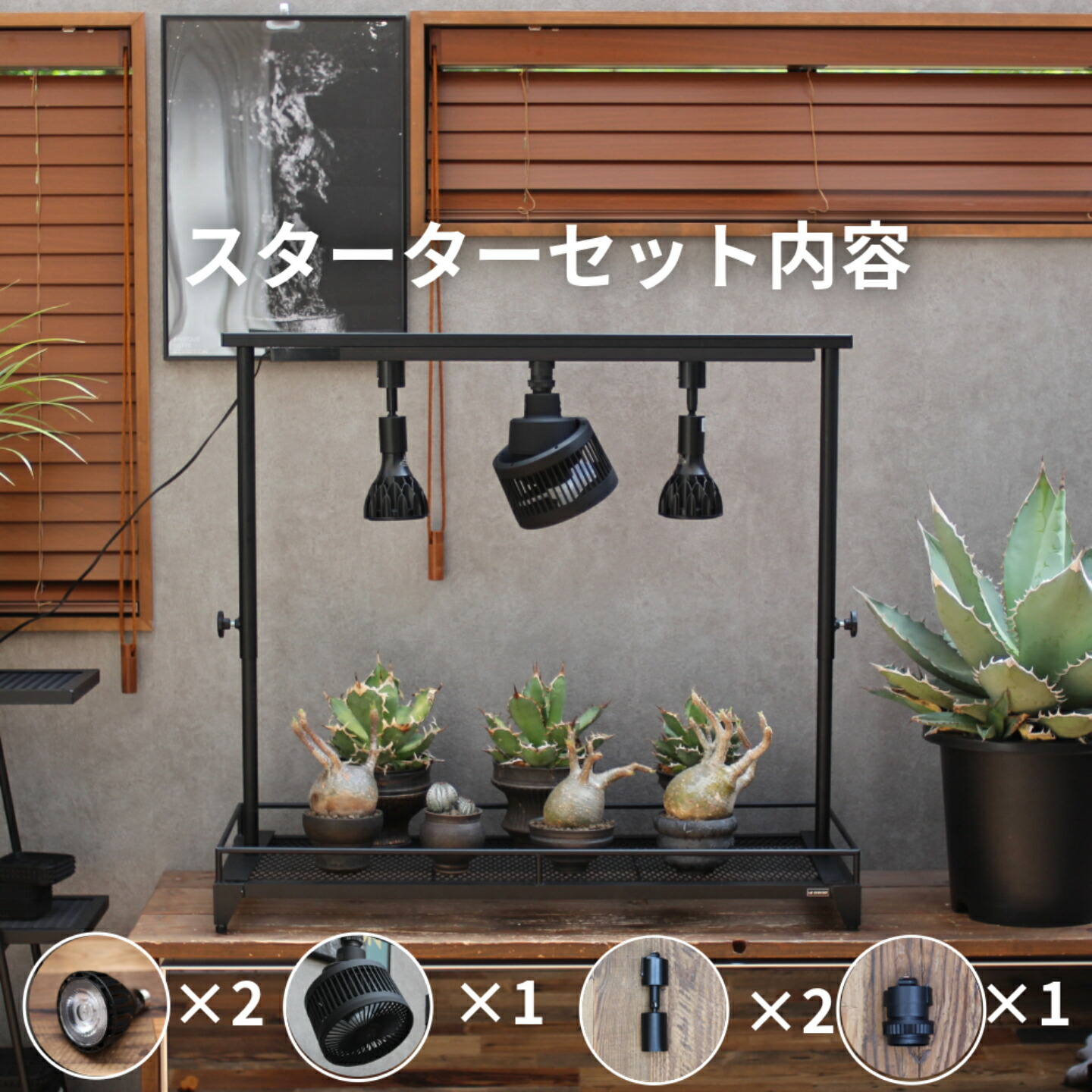 楽天市場】植物棚スターターセット 水受けトレー付1段植物棚 mini植物