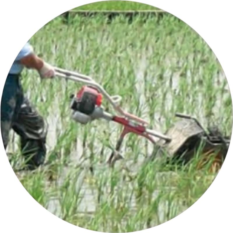 楽天市場】【3/31までエントリーで最大100%Pバック】水田中耕除草機 2