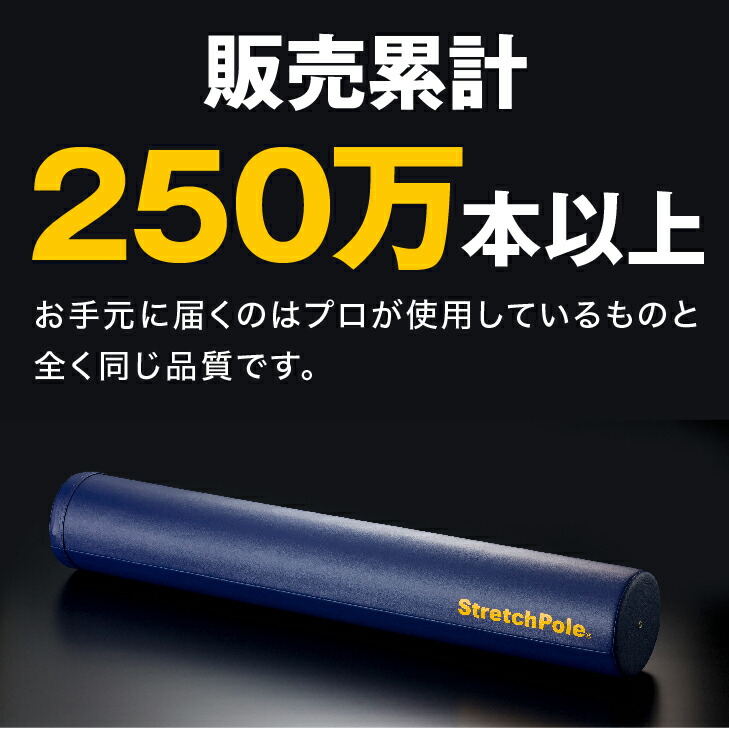 楽天市場】LPN ストレッチポールMX(アイボリー)スタートBOOK