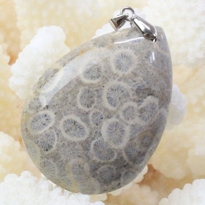 楽天市場】【レア 1点物】サンゴ 化石 ペンダント 化石 珊瑚