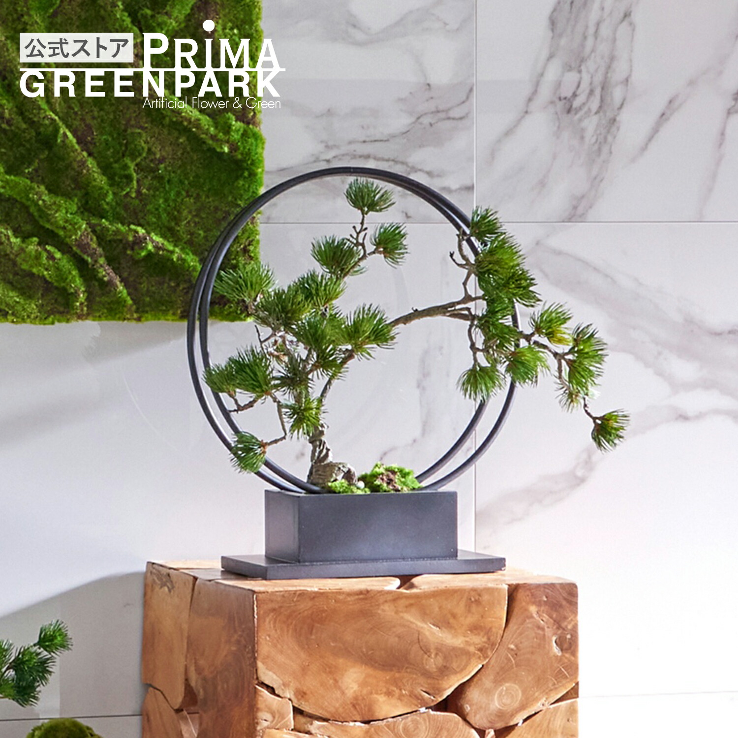 楽天市場】【公式】松 吹き流し 1本 リングベースL CUPBON 盆栽