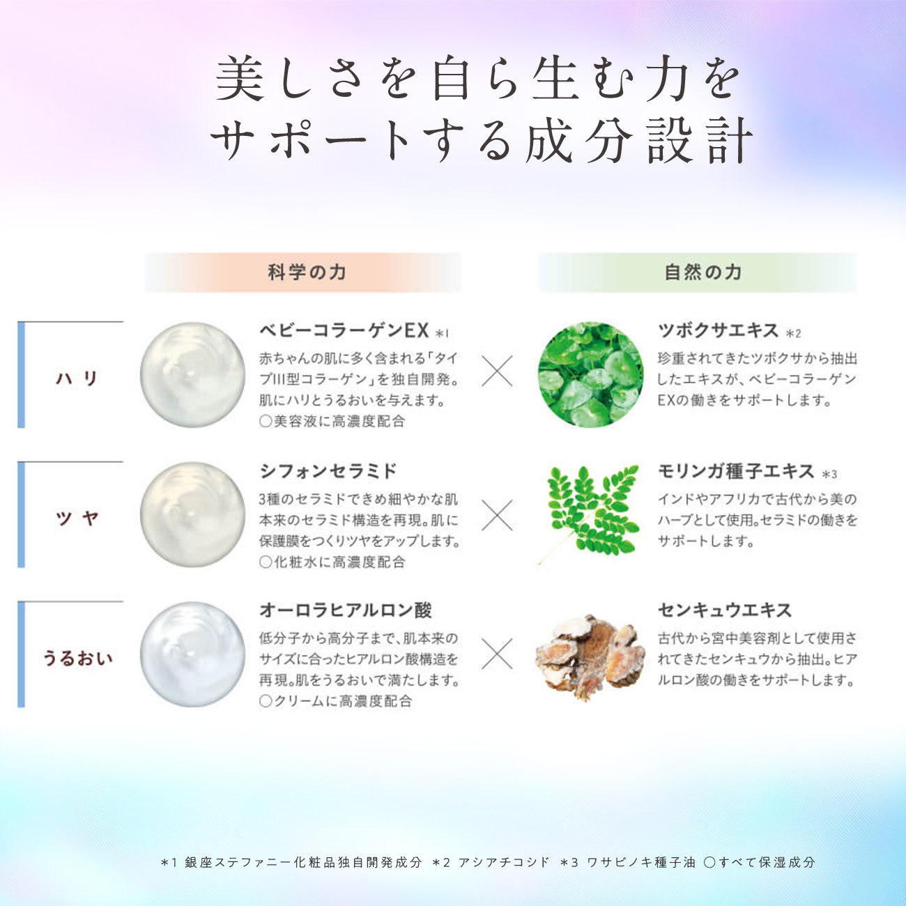 楽天市場】【ポイント20倍 3/4 20:00～3/11 01:59】【公式】Suhadabi