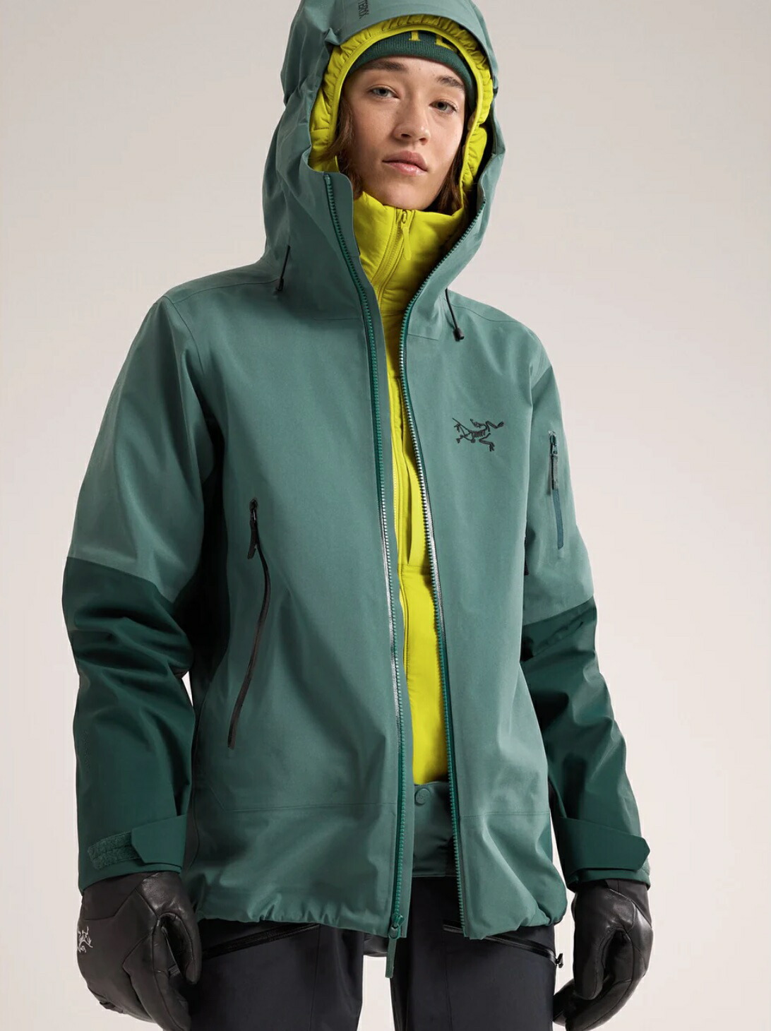 楽天市場】50%OFF 在庫限り アークテリクス センチネル ジャケット