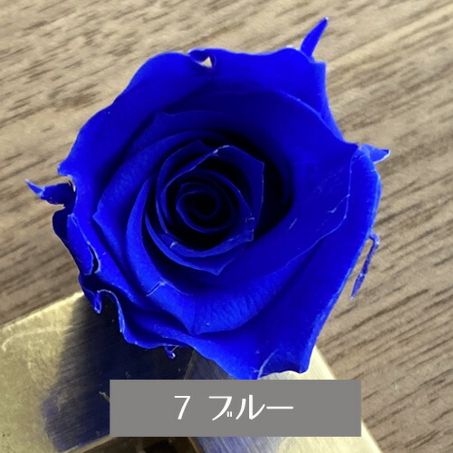 楽天市場】プリザーブドフラワー バラ 1輪 ブルー系 選べる4色 ブルー