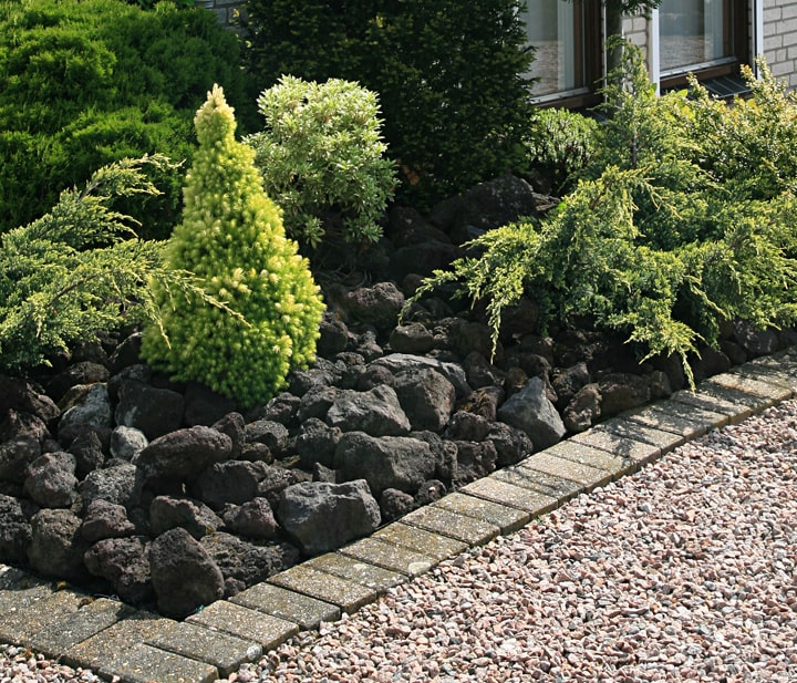 富士 溶岩石 18.7キロ 庭石 鑑賞石 石 石材 庭 坪庭 ガーデニング